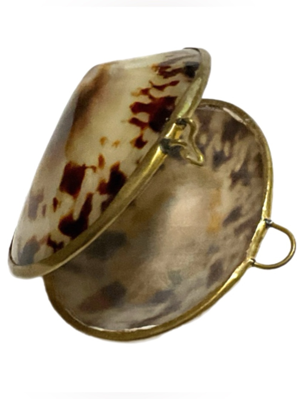 Limpet Sea Shell Hinged Trinket Box